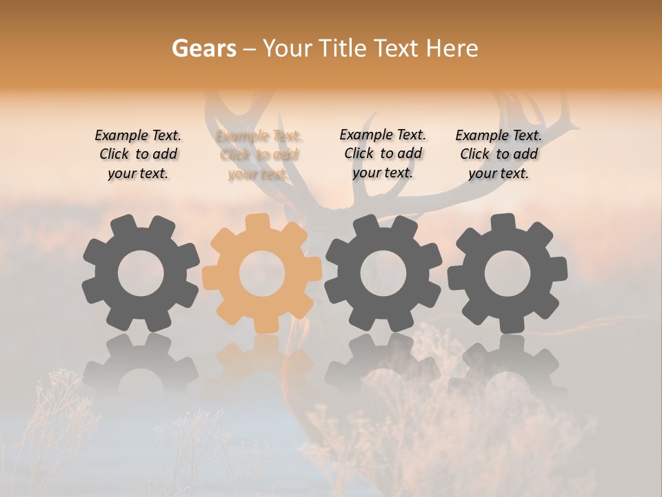 Trees Moor Safari PowerPoint Template
