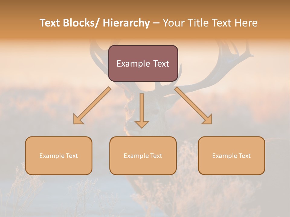 Trees Moor Safari PowerPoint Template
