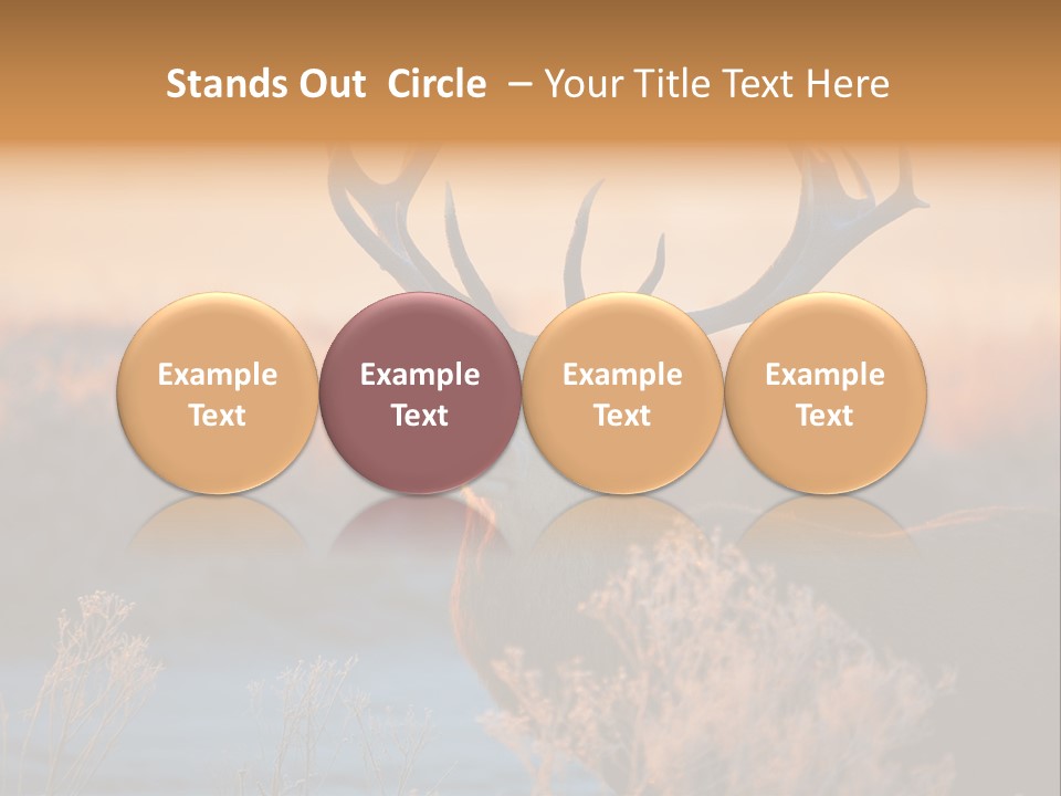 Trees Moor Safari PowerPoint Template