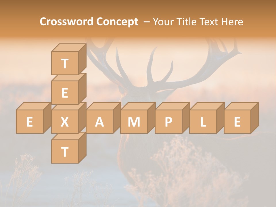 Trees Moor Safari PowerPoint Template