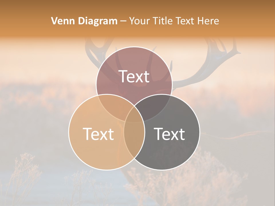 Trees Moor Safari PowerPoint Template