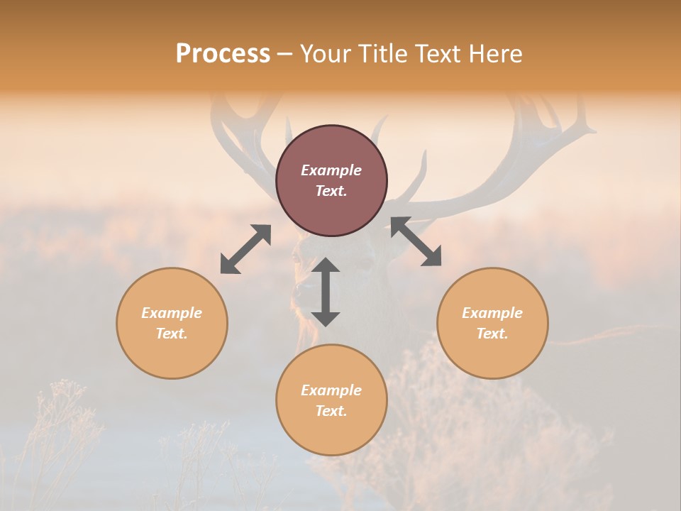 Trees Moor Safari PowerPoint Template