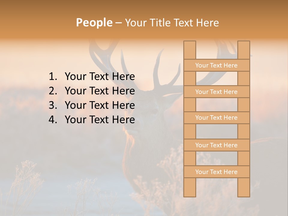 Trees Moor Safari PowerPoint Template