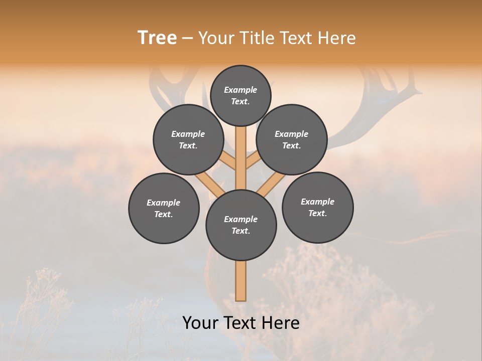 Trees Moor Safari PowerPoint Template