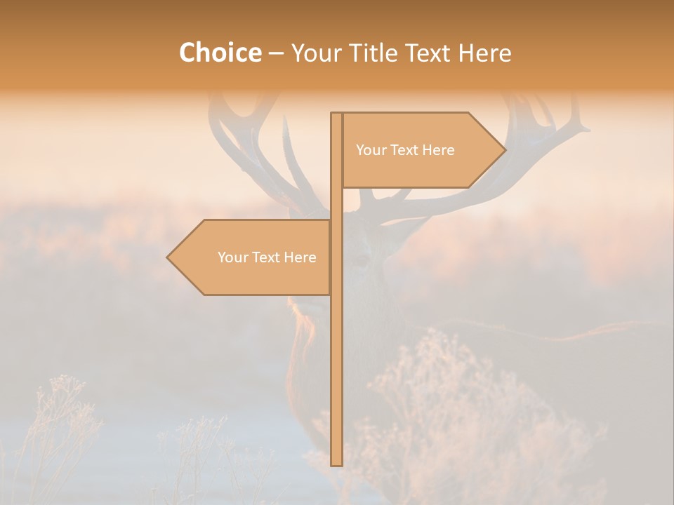 Trees Moor Safari PowerPoint Template