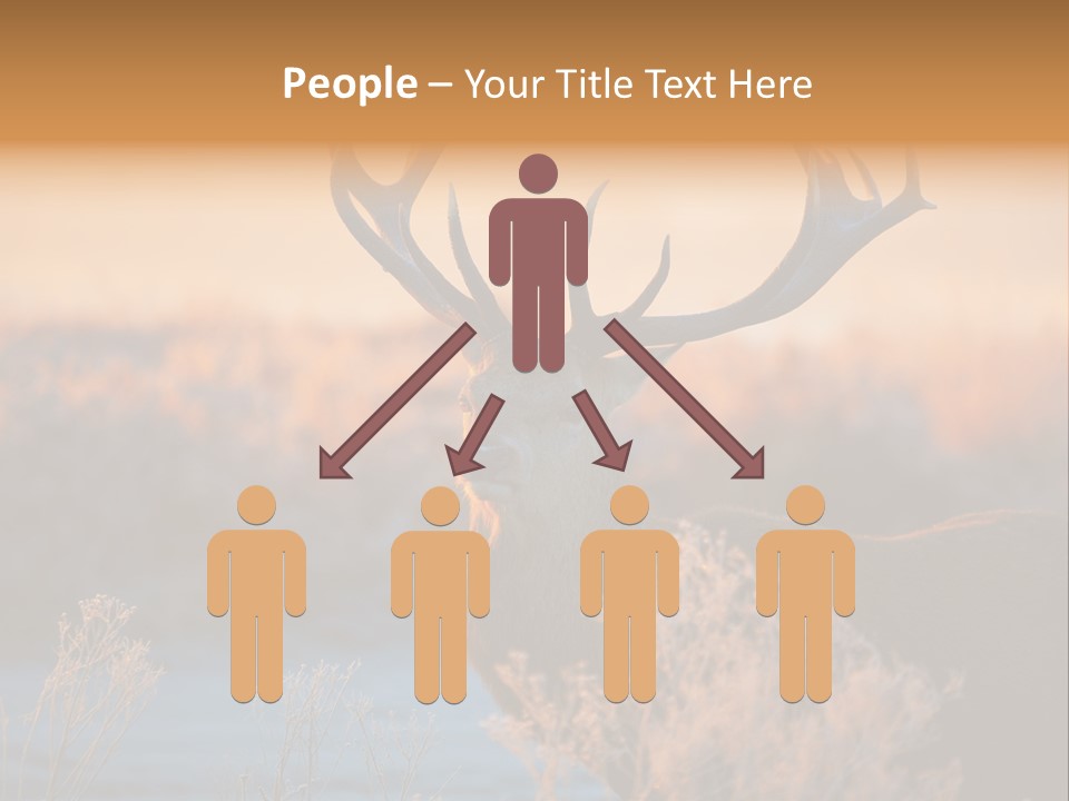 Trees Moor Safari PowerPoint Template