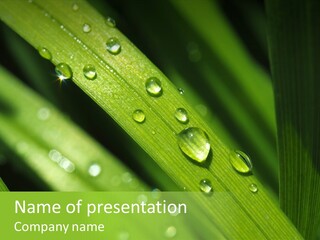 Regen Nahaufnahme Klima PowerPoint Template