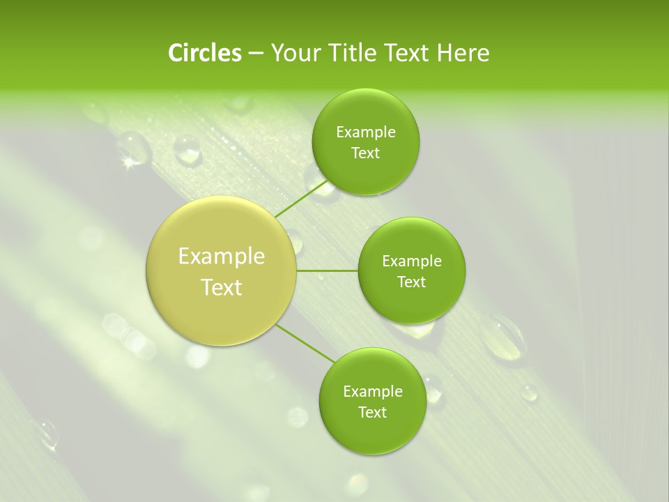 Regen Nahaufnahme Klima PowerPoint Template