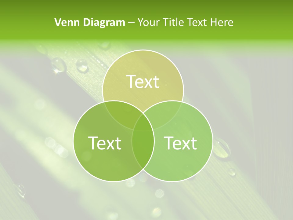 Regen Nahaufnahme Klima PowerPoint Template