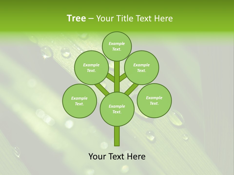 Regen Nahaufnahme Klima PowerPoint Template