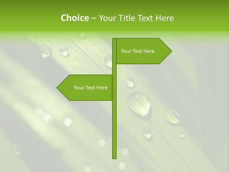Regen Nahaufnahme Klima PowerPoint Template
