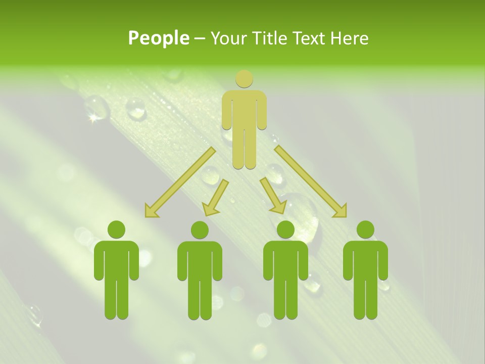 Regen Nahaufnahme Klima PowerPoint Template