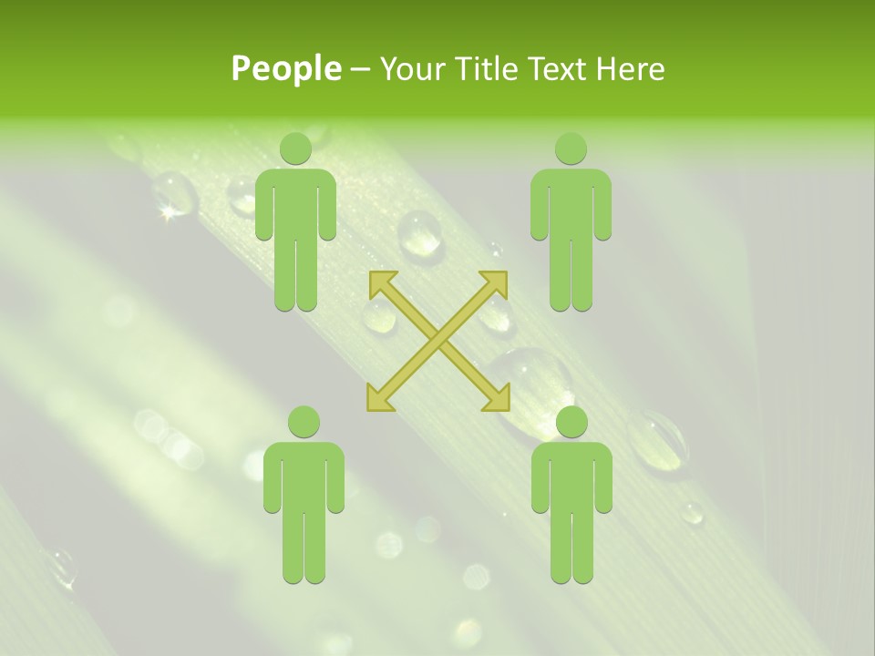 Regen Nahaufnahme Klima PowerPoint Template