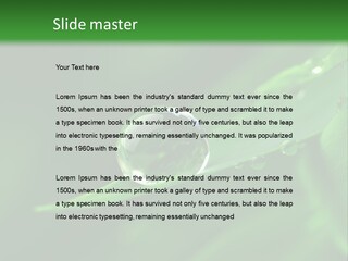 Sinnlich Oase Regentropfen PowerPoint Template