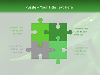 Sinnlich Oase Regentropfen PowerPoint Template