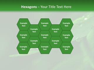 Sinnlich Oase Regentropfen PowerPoint Template