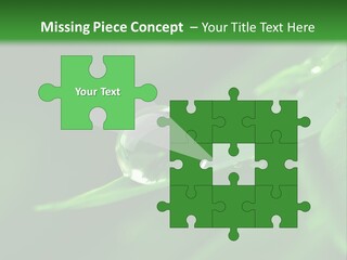 Sinnlich Oase Regentropfen PowerPoint Template