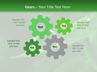 Sinnlich Oase Regentropfen PowerPoint Template
