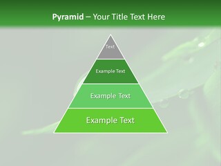 Sinnlich Oase Regentropfen PowerPoint Template