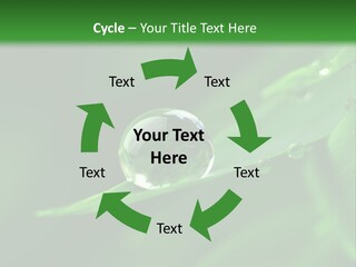 Sinnlich Oase Regentropfen PowerPoint Template