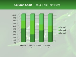 Sinnlich Oase Regentropfen PowerPoint Template