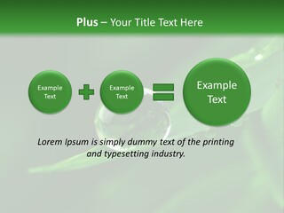 Sinnlich Oase Regentropfen PowerPoint Template