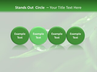 Sinnlich Oase Regentropfen PowerPoint Template