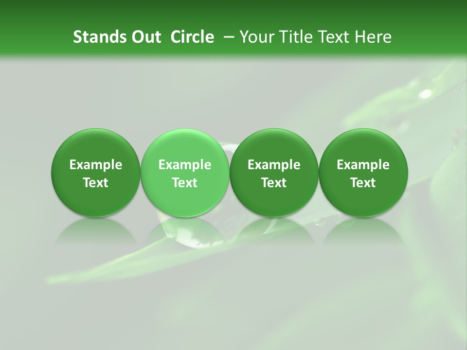 Sinnlich Oase Regentropfen PowerPoint Template