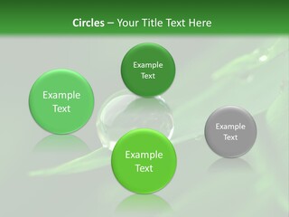 Sinnlich Oase Regentropfen PowerPoint Template