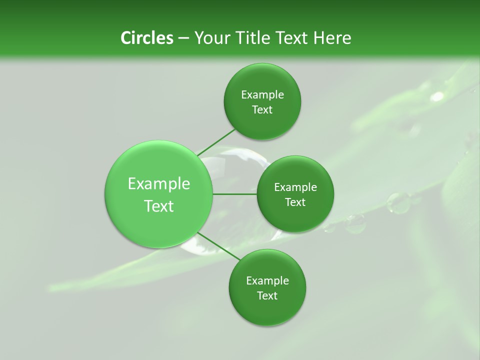 Sinnlich Oase Regentropfen PowerPoint Template
