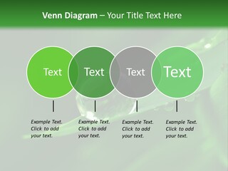 Sinnlich Oase Regentropfen PowerPoint Template