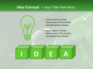 Sinnlich Oase Regentropfen PowerPoint Template