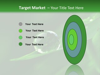 Sinnlich Oase Regentropfen PowerPoint Template