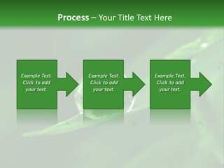 Sinnlich Oase Regentropfen PowerPoint Template
