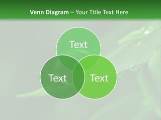 Sinnlich Oase Regentropfen PowerPoint Template