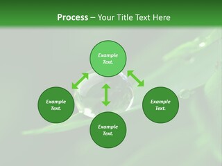 Sinnlich Oase Regentropfen PowerPoint Template