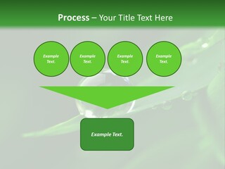 Sinnlich Oase Regentropfen PowerPoint Template