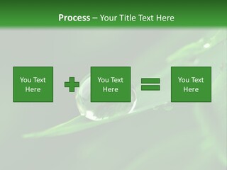 Sinnlich Oase Regentropfen PowerPoint Template