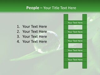 Sinnlich Oase Regentropfen PowerPoint Template