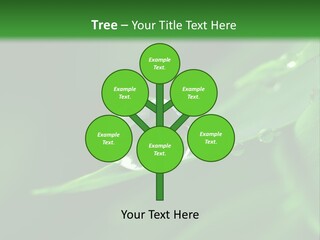 Sinnlich Oase Regentropfen PowerPoint Template