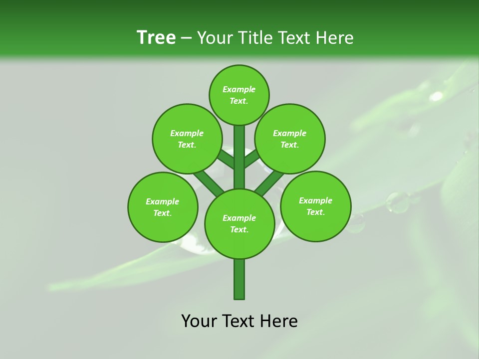 Sinnlich Oase Regentropfen PowerPoint Template