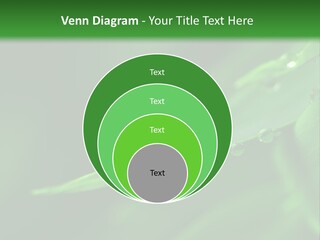 Sinnlich Oase Regentropfen PowerPoint Template