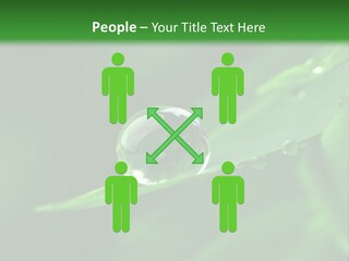 Sinnlich Oase Regentropfen PowerPoint Template