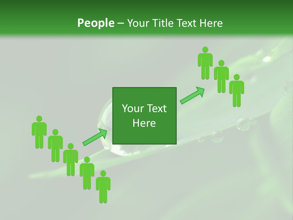 Sinnlich Oase Regentropfen PowerPoint Template