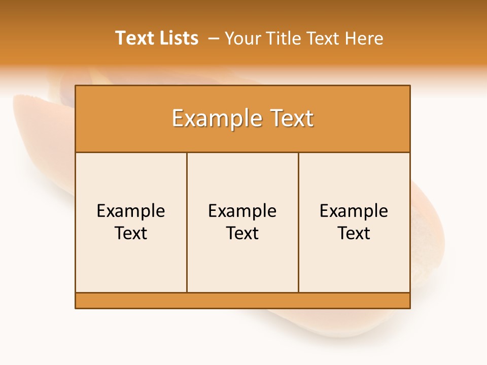 Ketchupamerican Barbecuebeef Bread Bun Calorie Delicious Frankfurter Eat PowerPoint Template