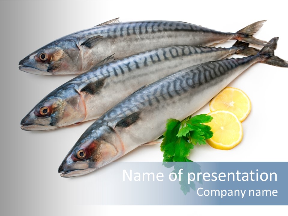 Scale Market Angling PowerPoint Template