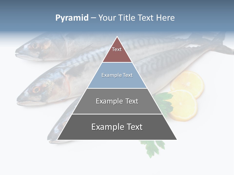 Scale Market Angling PowerPoint Template