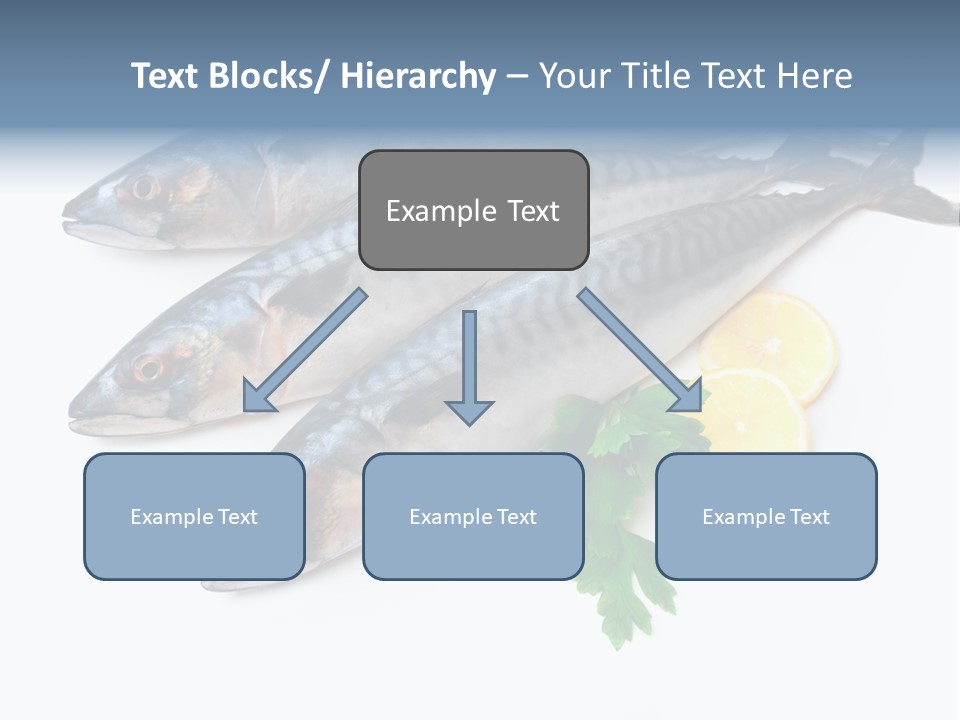 Scale Market Angling PowerPoint Template