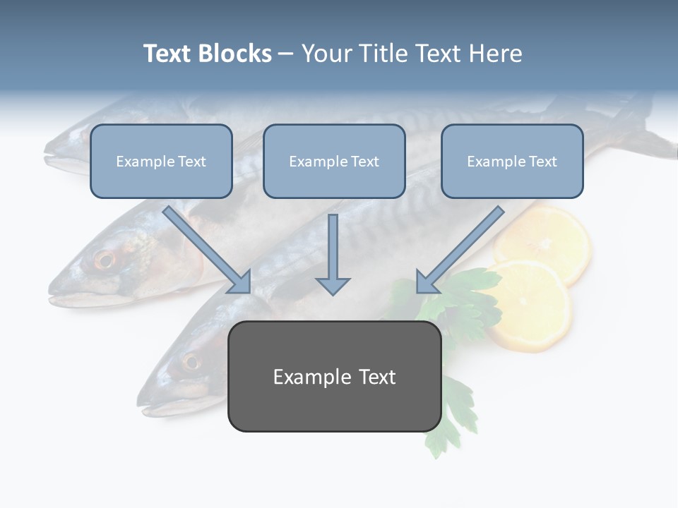 Scale Market Angling PowerPoint Template