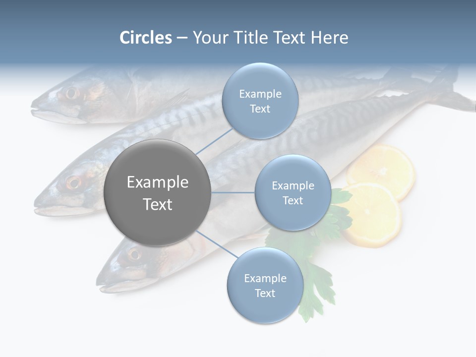 Scale Market Angling PowerPoint Template